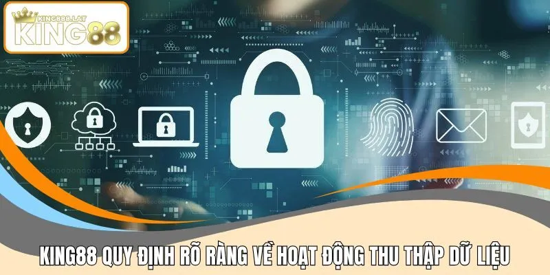 KING88 quy định rõ ràng về hoạt động thu thập dữ liệu